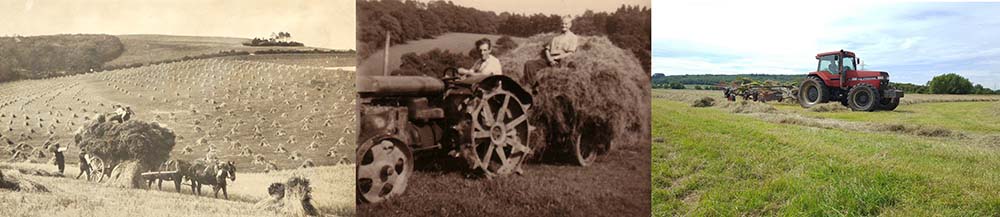 Forget the calendar: haymaking must reconnect with the shifting seasons