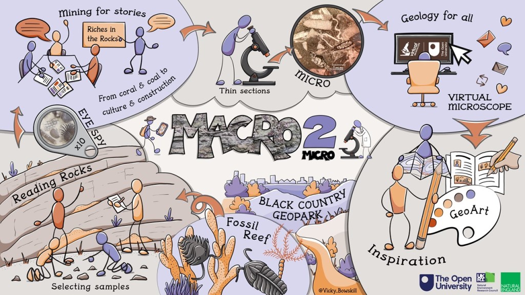 Visual Summary of the Macro to Micro project